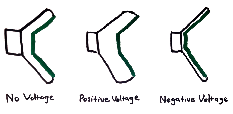 Diagram with three images of a speaker arranged from left to right. The left-most speaker shows the diaphragm in a neutral position with the subtitle ‘No Voltage’. The middle speaker shows the diaphragm pushed out with the subtitle ‘Positive Voltage’. The right-most speaker shows the diaphragm pulled inwards with the subtitle ‘Negative Voltage’.